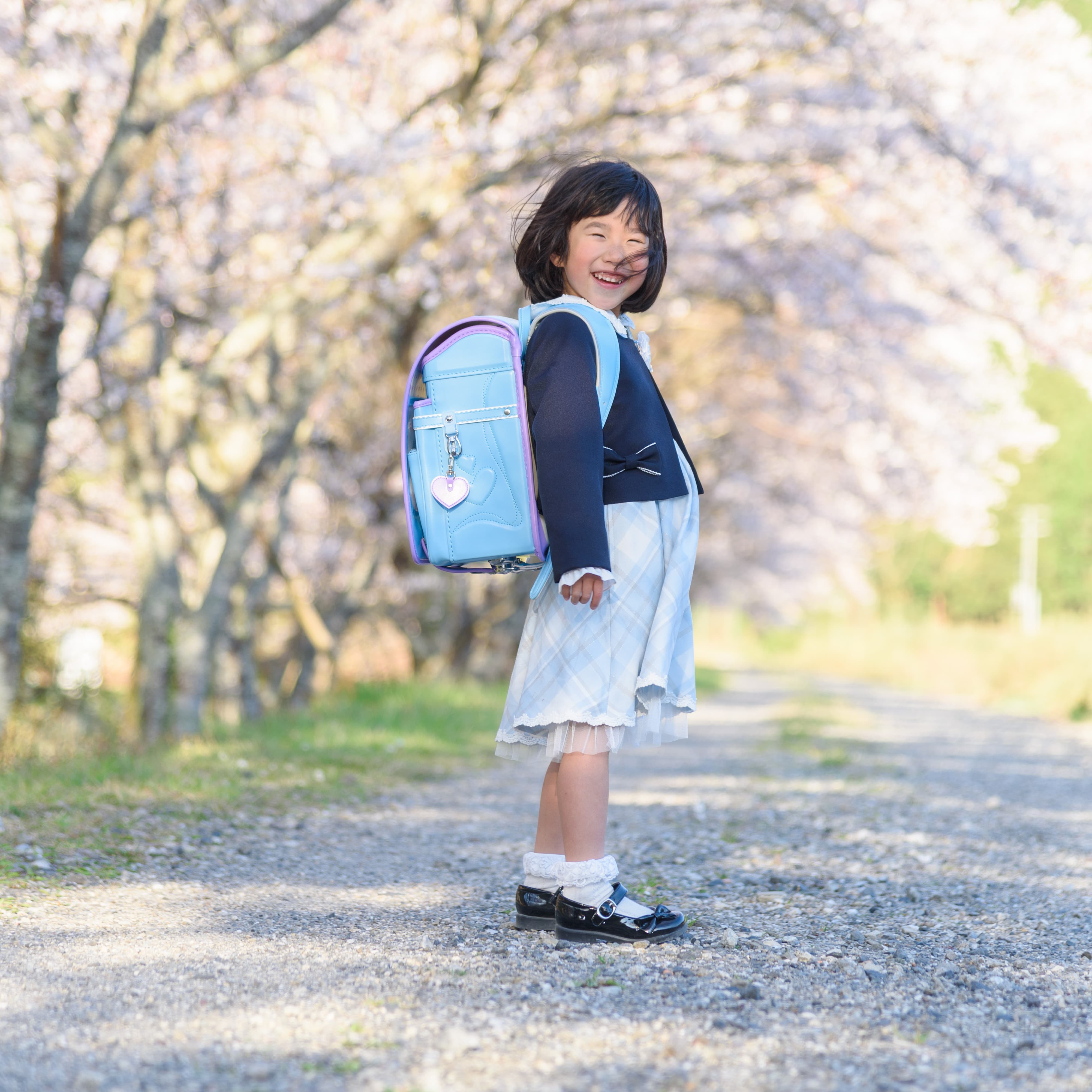 桜の一年生