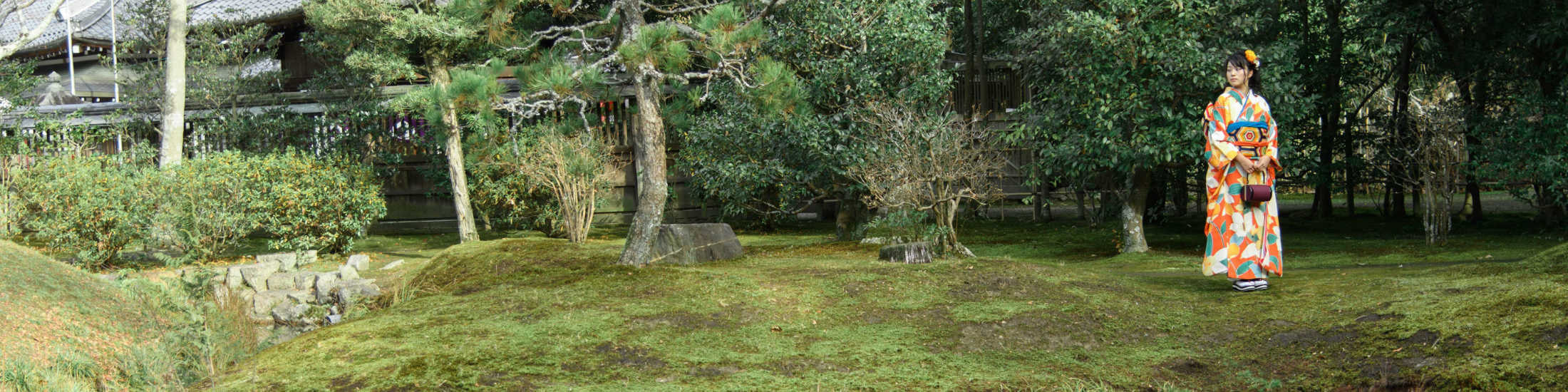 ポートフォリオのバナー