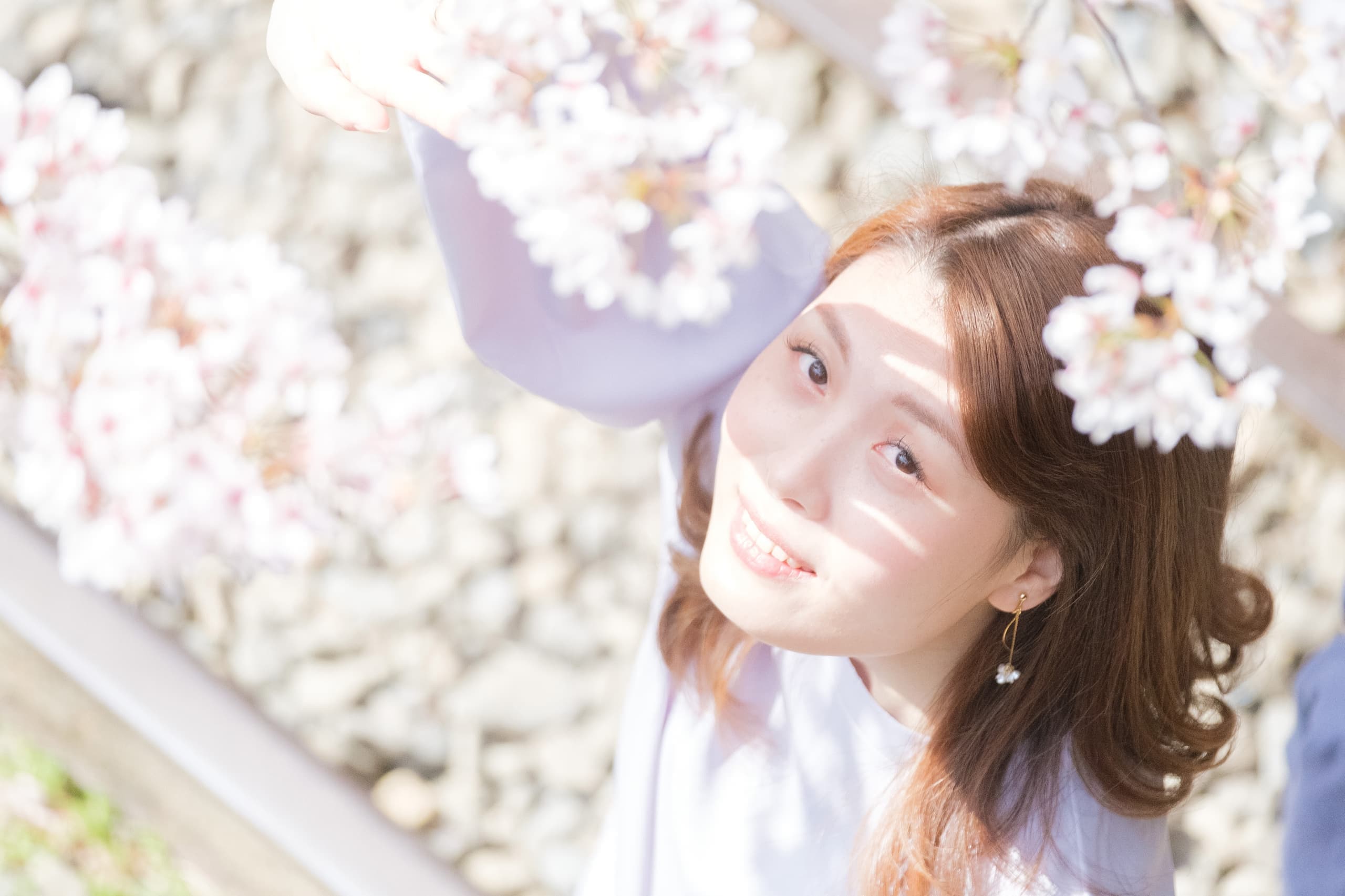 桜の下で