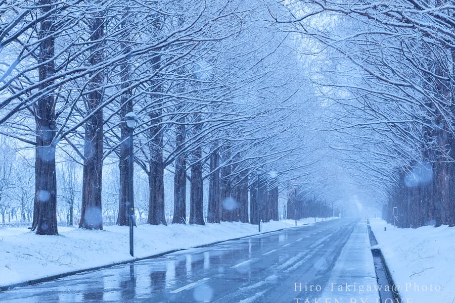 降り積もる雪と（滋賀県高島市）