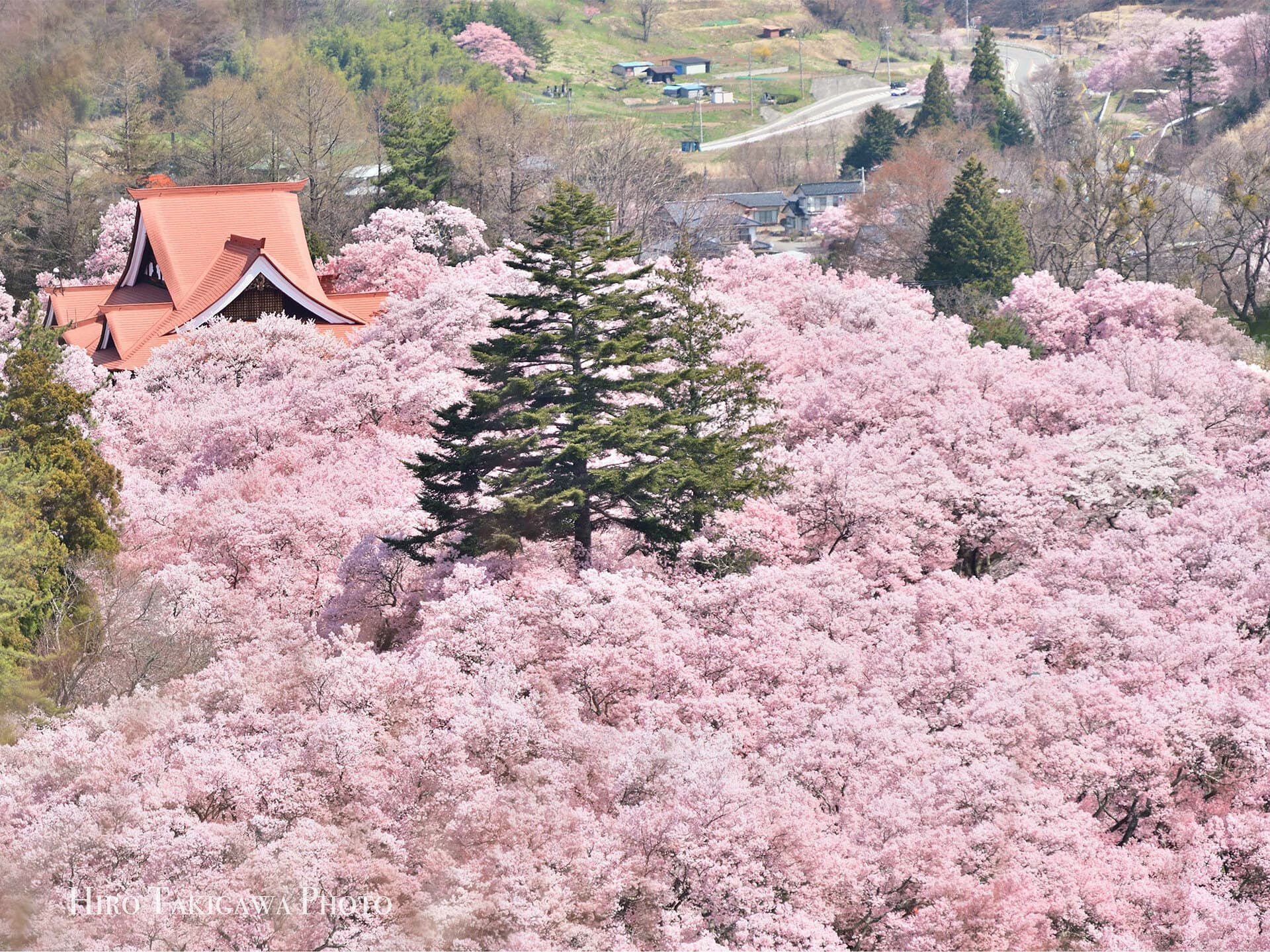 高遠城址公園