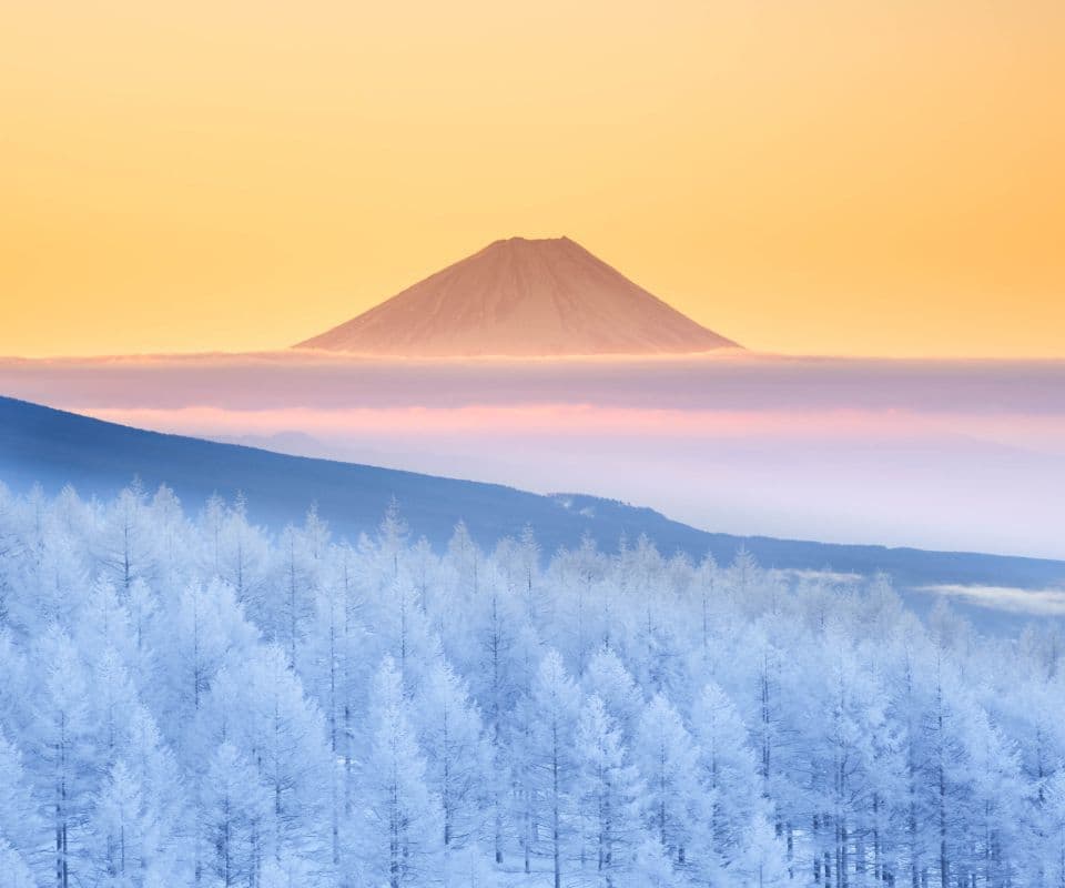 fuji_inochi_s-8.jpg