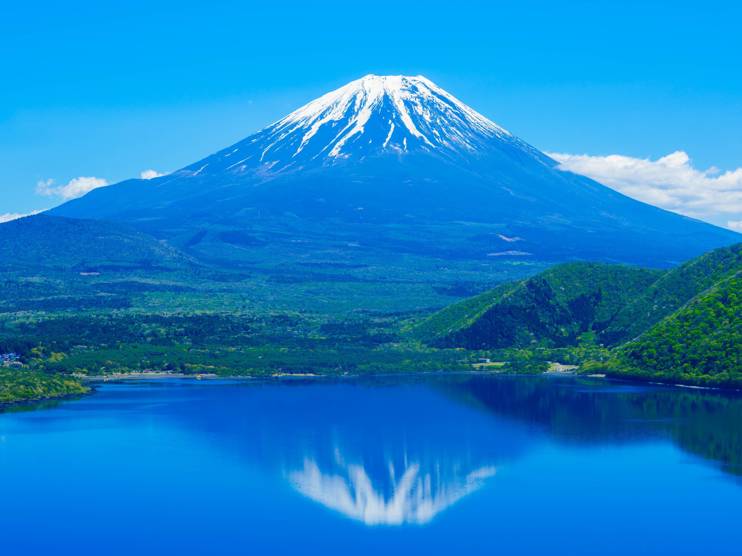 fuji_inochi_s-38.jpg